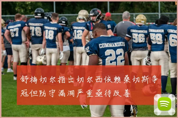 舒梅切尔指出切尔西依赖桑切斯争冠但防守漏洞严重亟待改善
