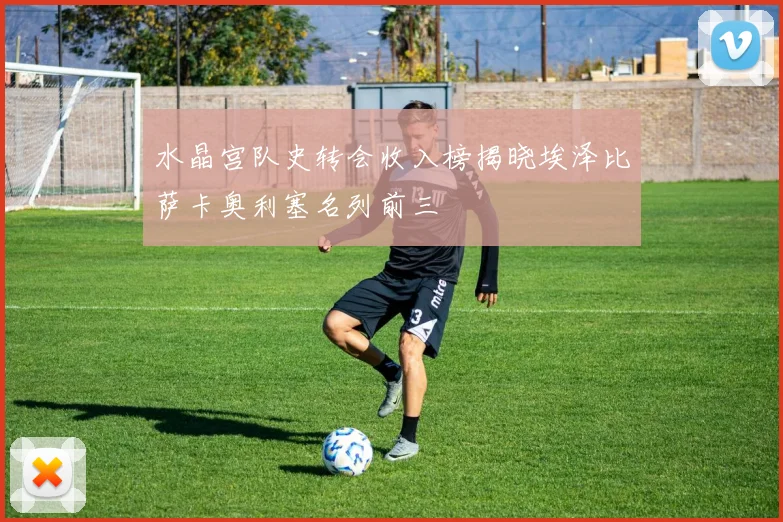 水晶宫队史转会收入榜揭晓埃泽比萨卡奥利塞名列前三