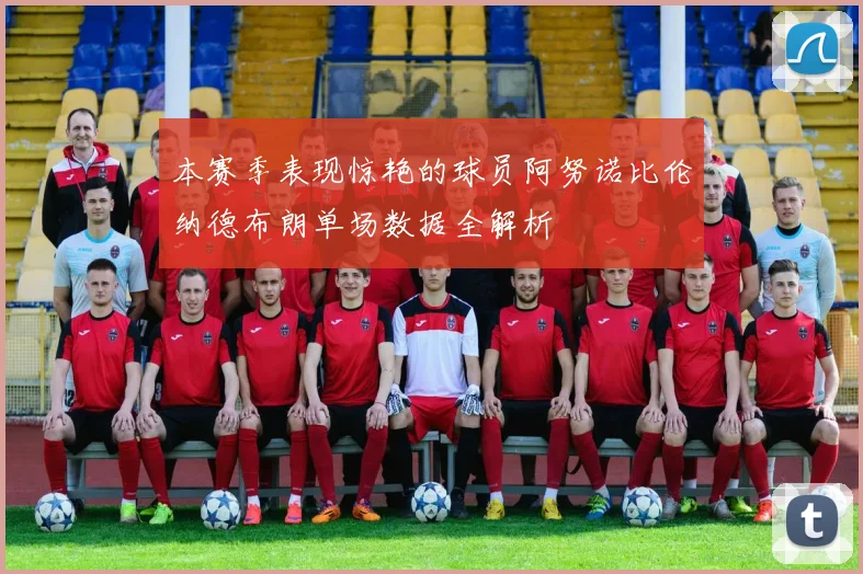 本赛季表现惊艳的球员阿努诺比伦纳德布朗单场数据全解析