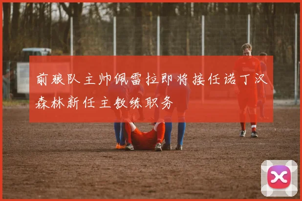 前狼队主帅佩雷拉即将接任诺丁汉森林新任主教练职务