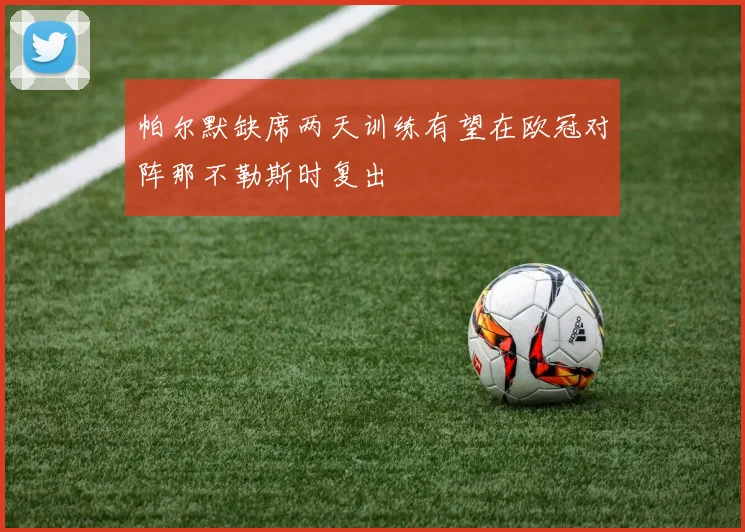 帕尔默缺席两天训练有望在欧冠对阵那不勒斯时复出