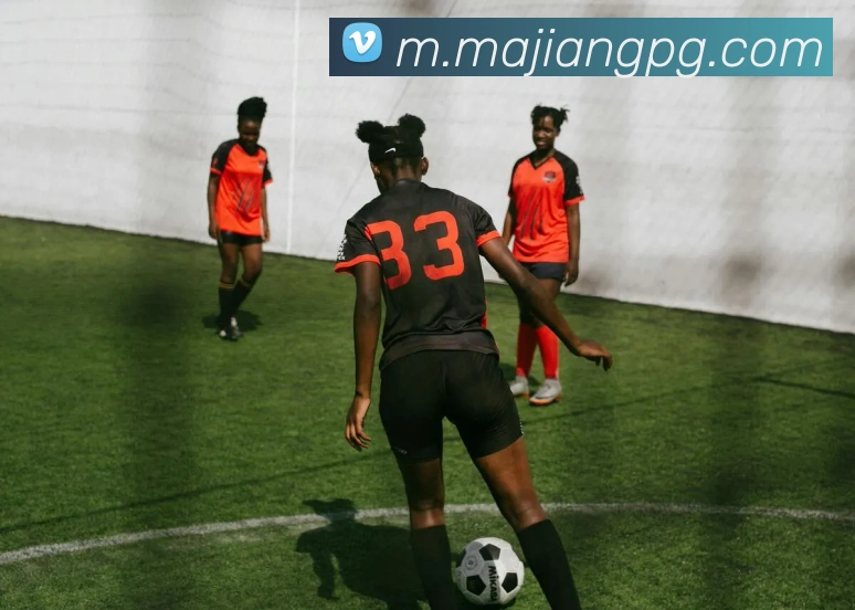 麻将胡了平台生态图